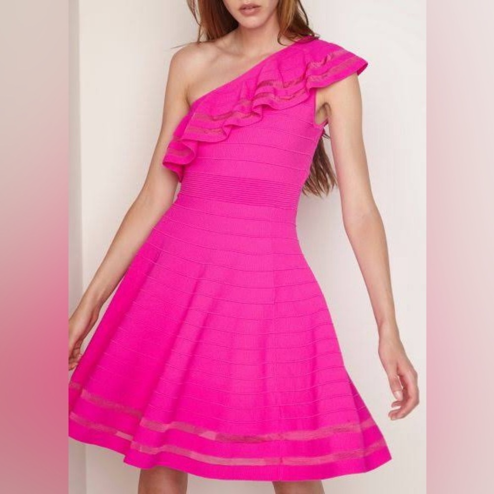 NWT magenta Ted Baker Knit dress